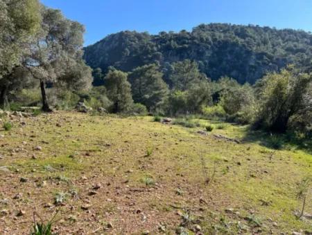 Land For Sale In Nature And Forest In Gökbel