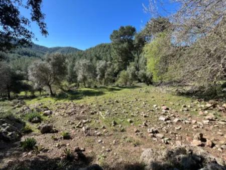 Land For Sale In Nature And Forest In Gökbel