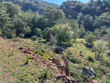 Land For Sale In Nature And Forest In Gökbel