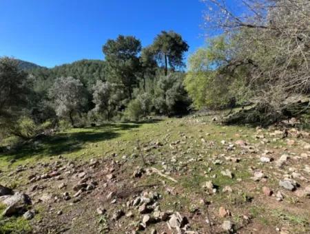 Land For Sale In Nature And Forest In Gökbel