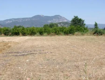 Plot For Sale On The Corner Of 540M2 In Okcular