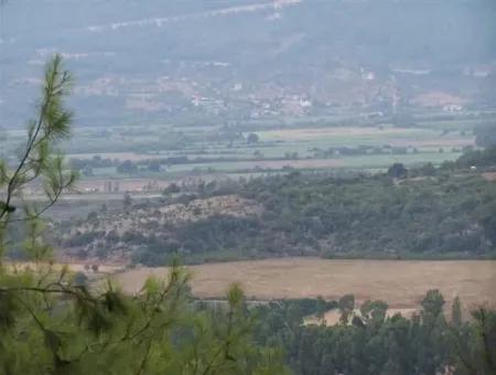 Gökçe Gökçe 21671M2 Farm For Sale For Sale