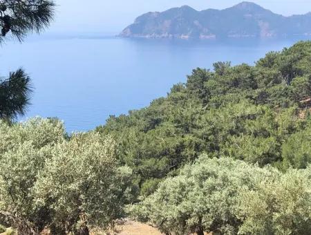 7034M2 Field For Sale With Sea View In Çandir