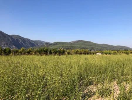 For Sale In Akçapinar 100 Acres For Sale