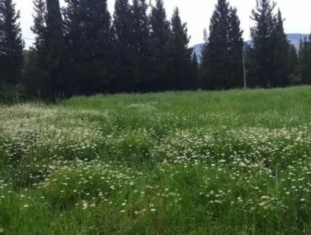 Land For Sale In Çamlida