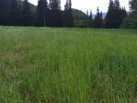 Land For Sale In Çamlida