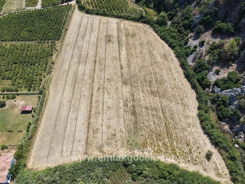Для продажи Поле в Dalyan Ortaca - Под Поле застройку - 20.786 m²