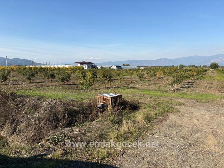 Для продажи Поле в Eskiköy Ortaca - Под Поле застройку - 21.500 m²