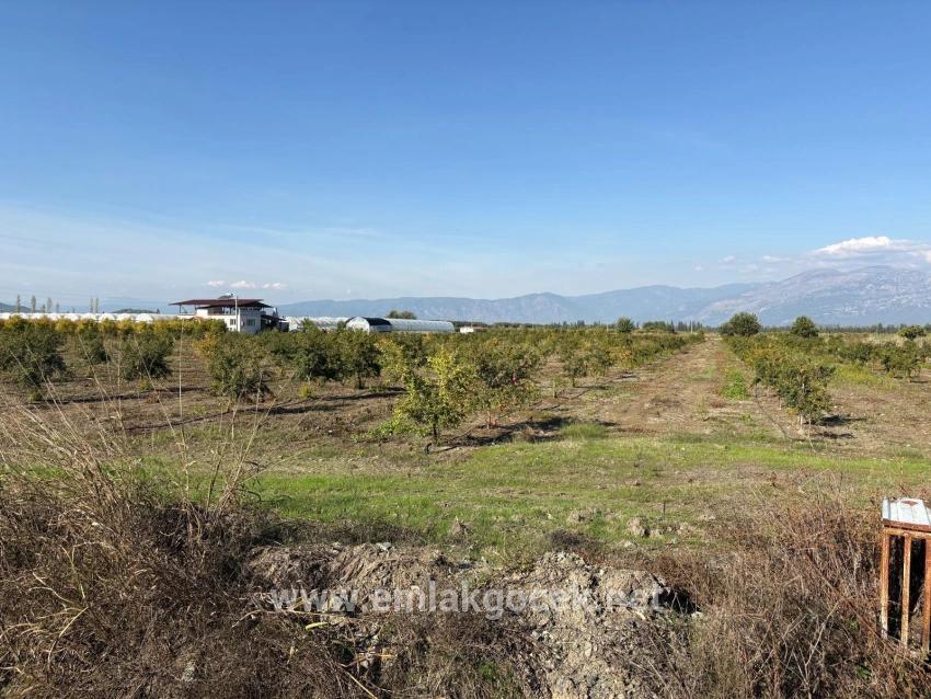 Для продажи Поле в Eskiköy Ortaca - Под Поле застройку - 21.500 m²