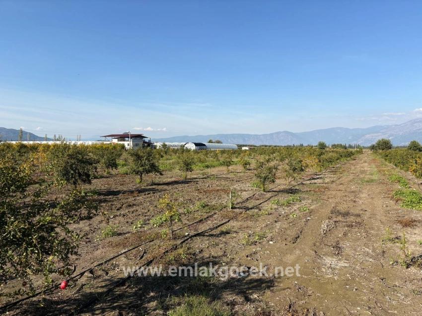 Для продажи Поле в Eskiköy Ortaca - Под Поле застройку - 21.500 m²