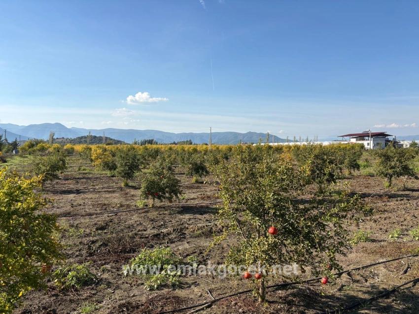 Для продажи Поле в Eskiköy Ortaca - Под Поле застройку - 21.500 m²