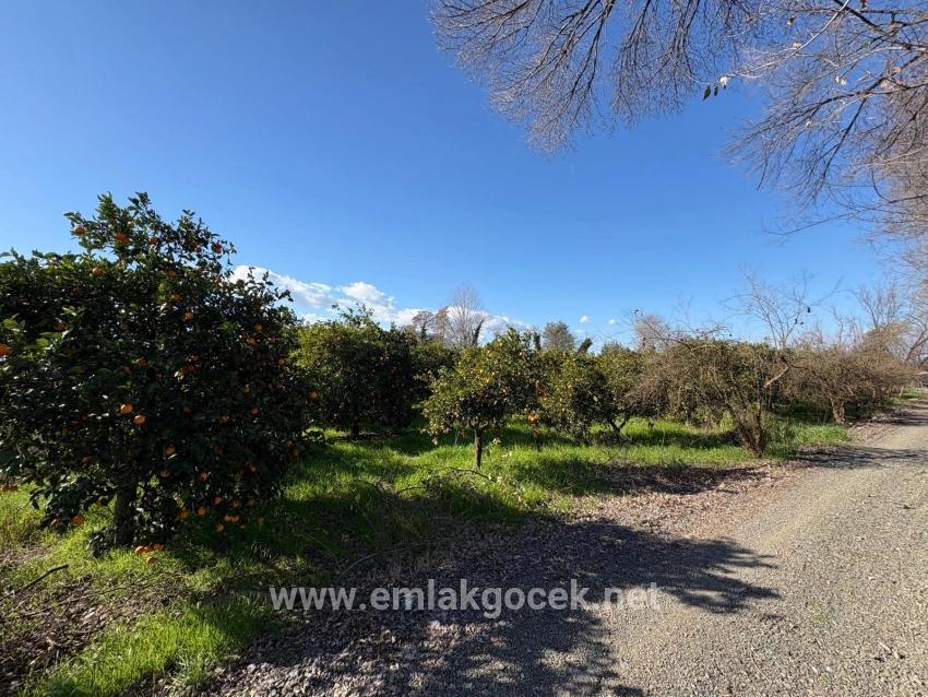 Для продажи Сюжет в Okçular Ortaca - Под Жилье застройку - 4.326 m²
