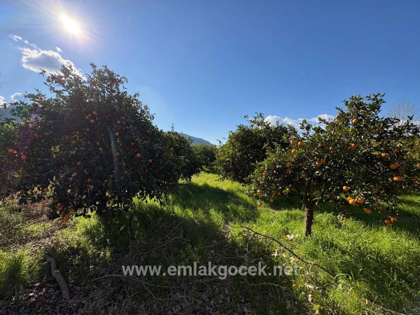 Для продажи Сюжет в Okçular Ortaca - Под Жилье застройку - 4.326 m²