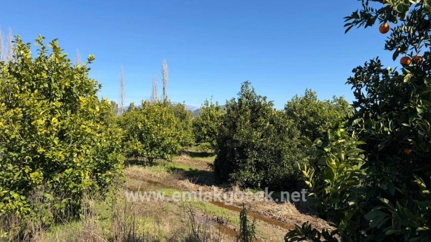 Продается Земельный Участок Площадью 2 218 М² В Окчуларе, Мармарис.