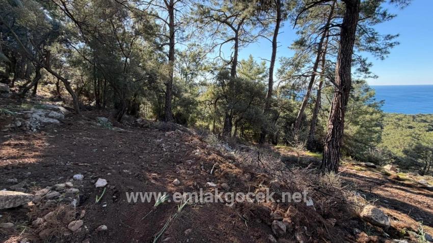 Для продажи Поле в Çandır Köyceğiz - Под Жилье застройку - 5.715 m²