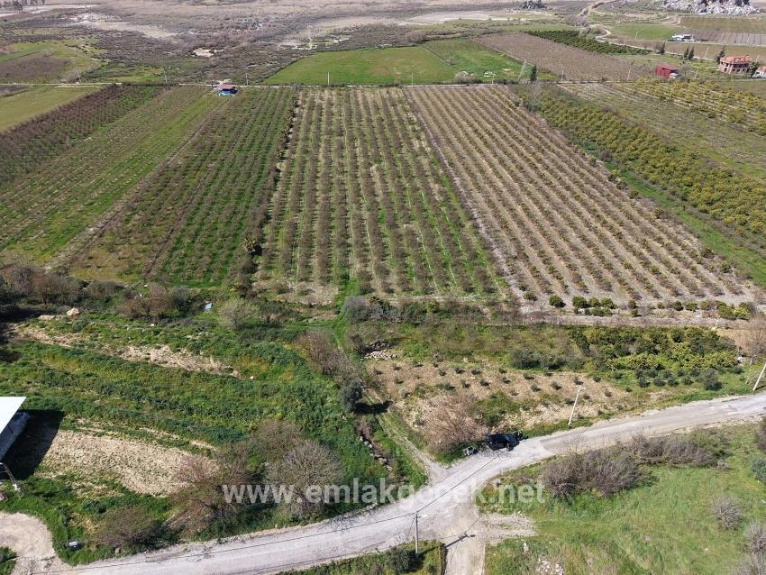 Для продажи Поле в Eskiköy Ortaca - Под Поле застройку - 16.710 m²