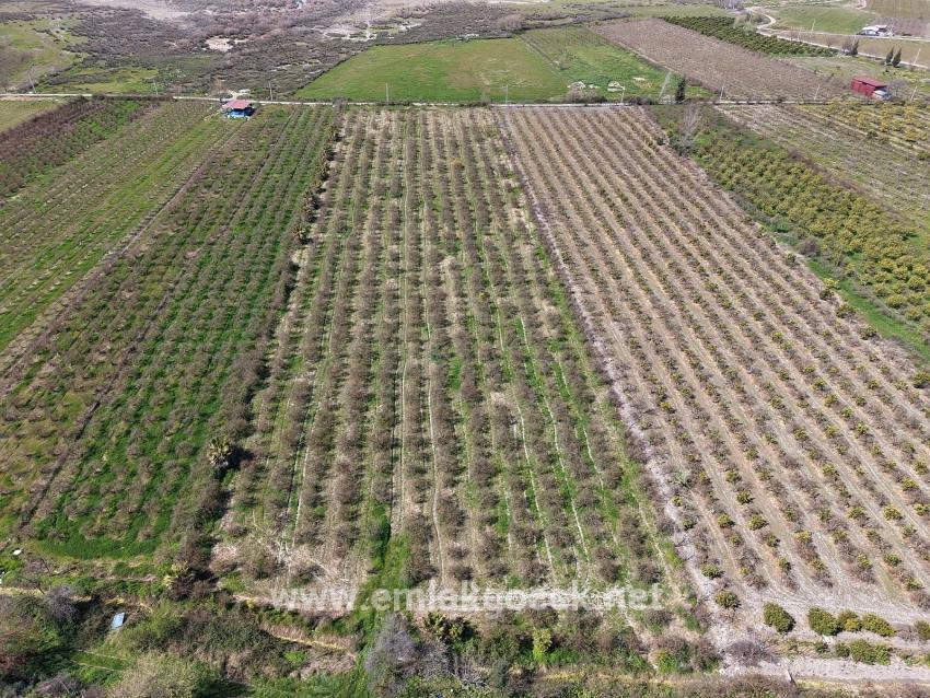 Для продажи Поле в Eskiköy Ortaca - Под Поле застройку - 16.710 m²