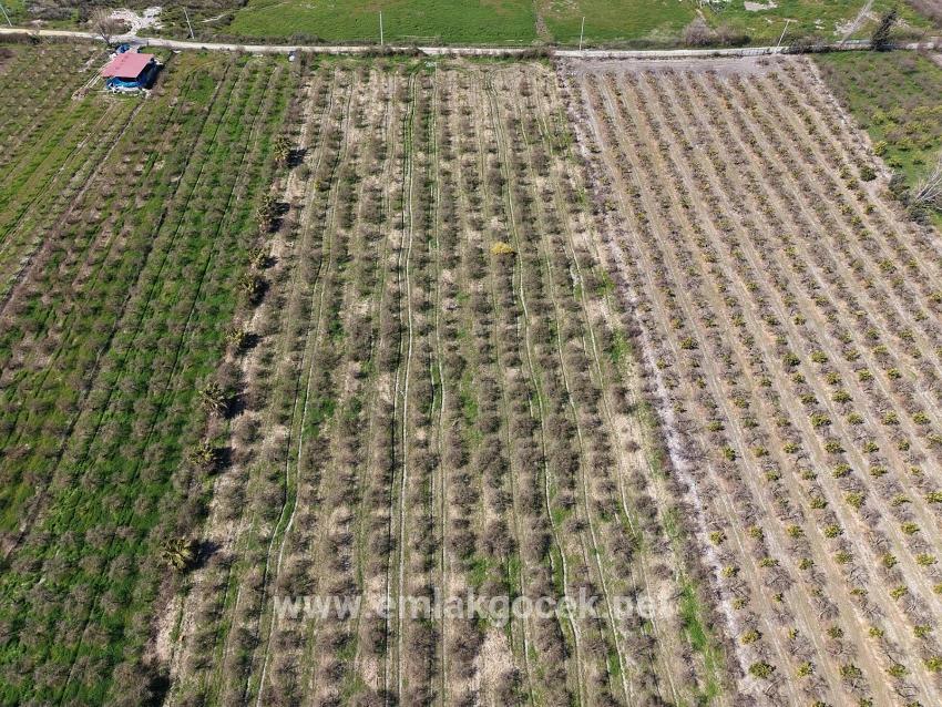 Для продажи Поле в Eskiköy Ortaca - Под Поле застройку - 16.710 m²