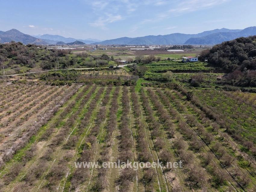 Для продажи Поле в Eskiköy Ortaca - Под Поле застройку - 16.710 m²