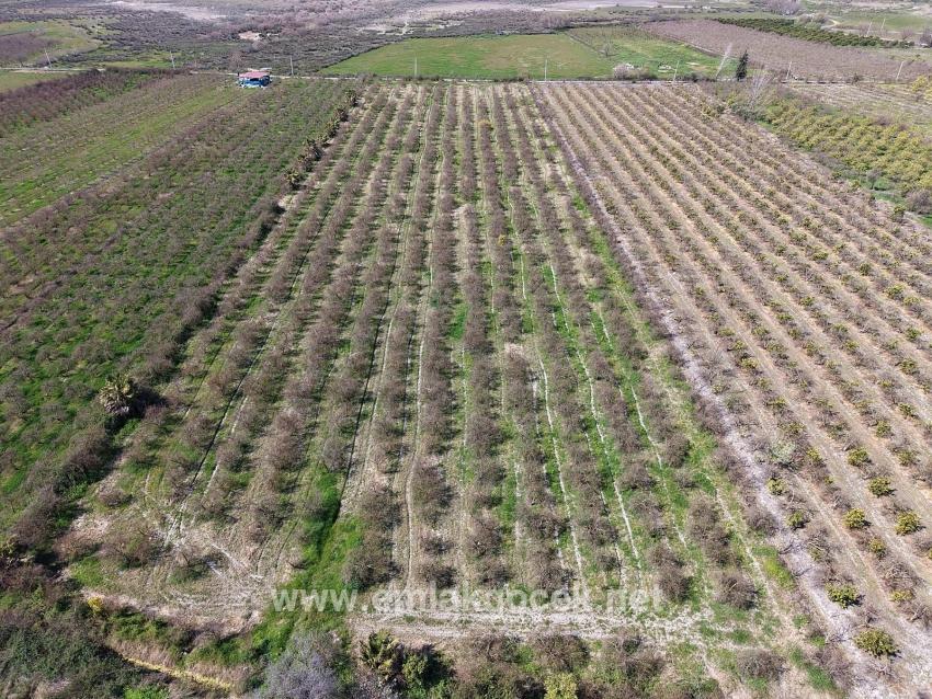 Для продажи Поле в Eskiköy Ortaca - Под Поле застройку - 16.710 m²