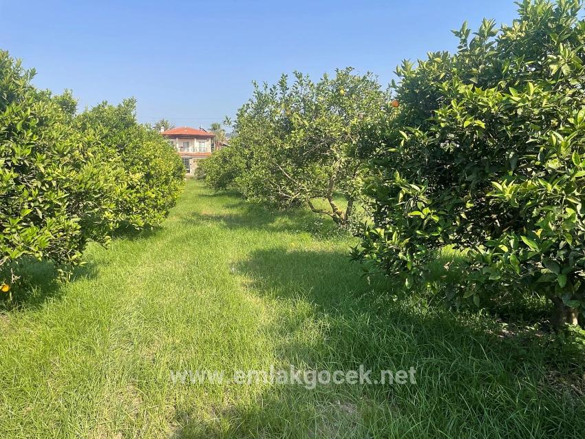 Земля 722м2 На Продажу В Дальян Гюльпынар