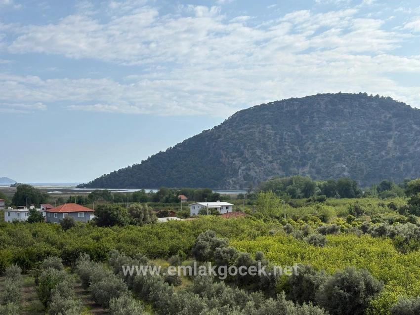Для продажи Поле в Çandır Köyceğiz - Под Поле застройку - 1.721 m²