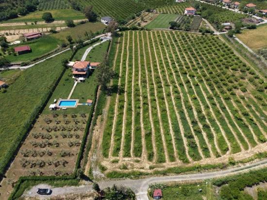 Продается Земельный Участок Площадью 5100 М2 Недалеко От Центра Города Дальян.