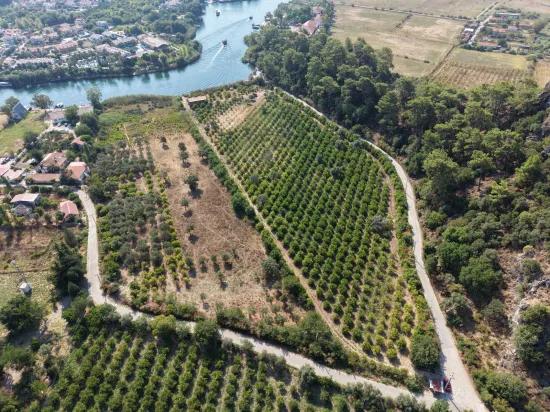 Село Köyceğiz в районе Çandır, у канала, 20.000м2 продажа поля