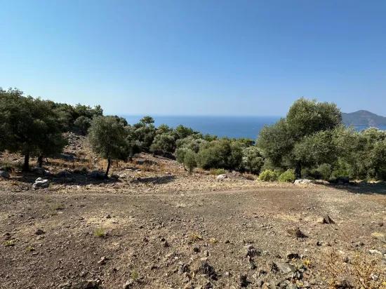 В Çandır с видом на море 21.000 m2 продаётся 2b поле