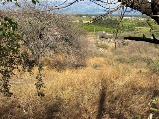 Поле площадью 5.000m2 с видом на озеро в Dalyan Karadağ продаётся