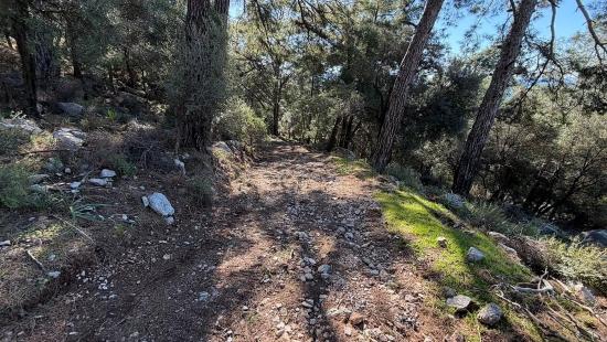 Поле 2b Площадью 5715 М2 С Панорамным Видом На Море В Чандыре