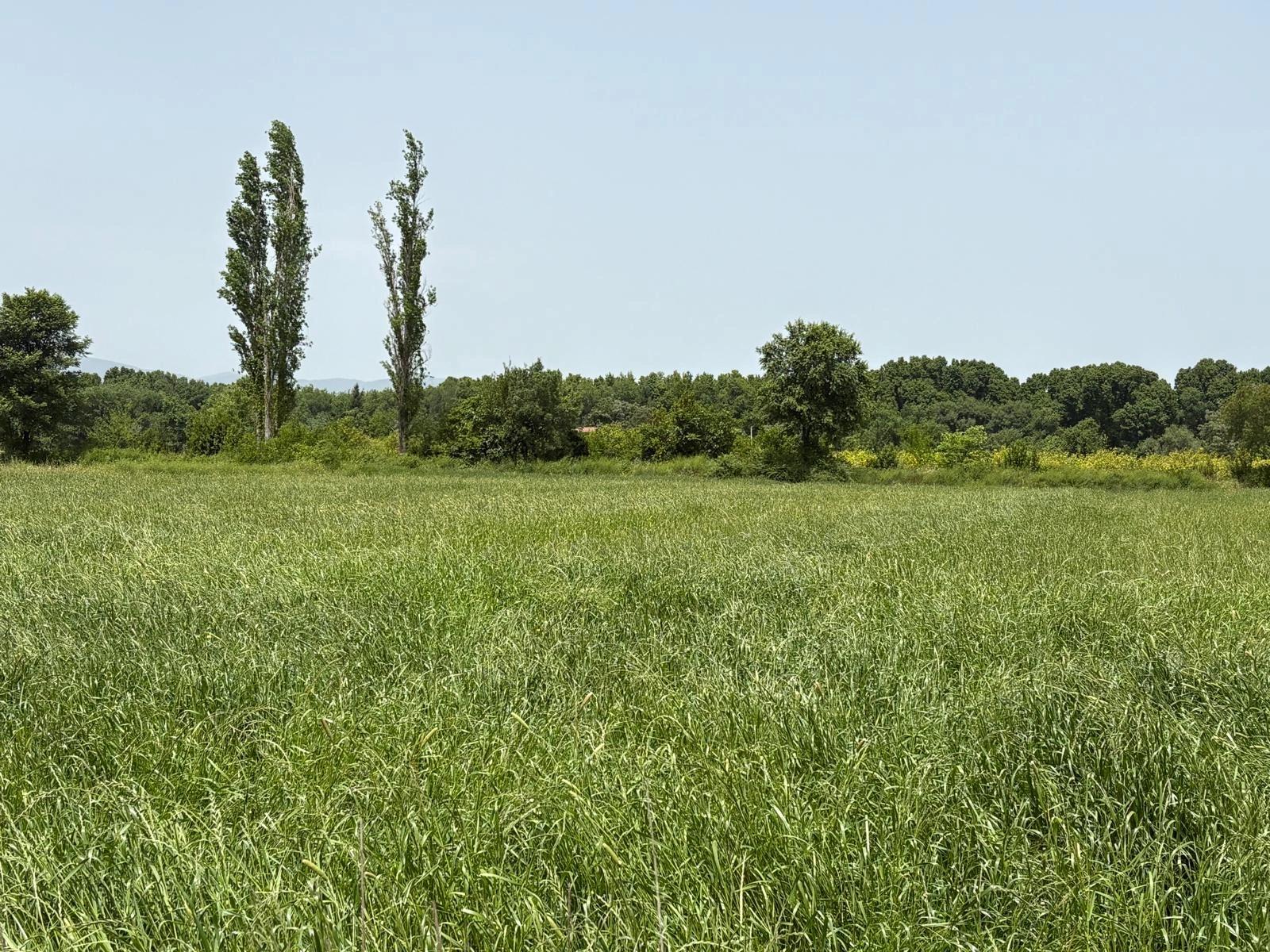 Okçular Marmarlı'da 2100 M2 Satılık Arsa