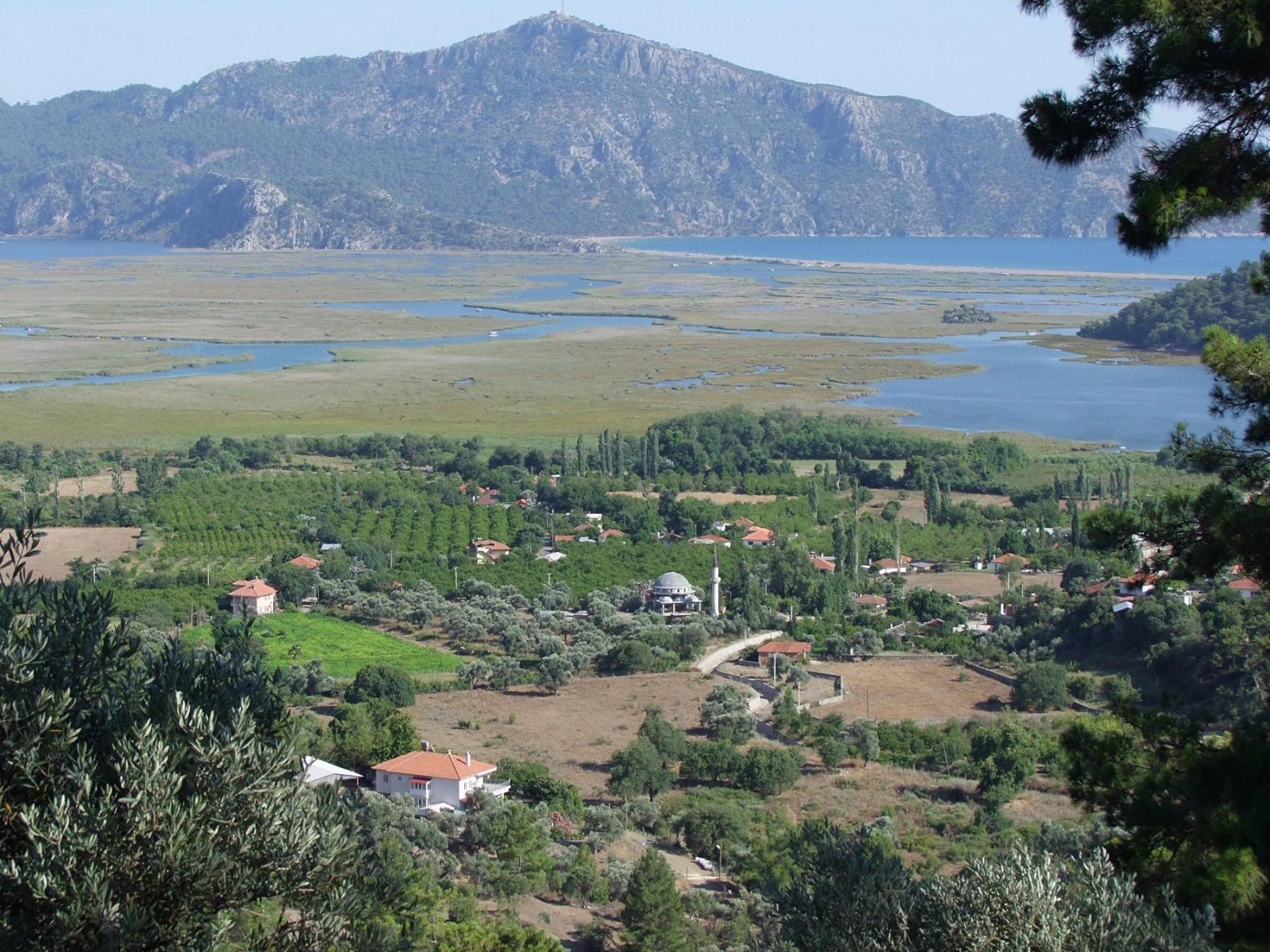 Köyceğiz Çandır'da 19.334m2 Satılık Tarla