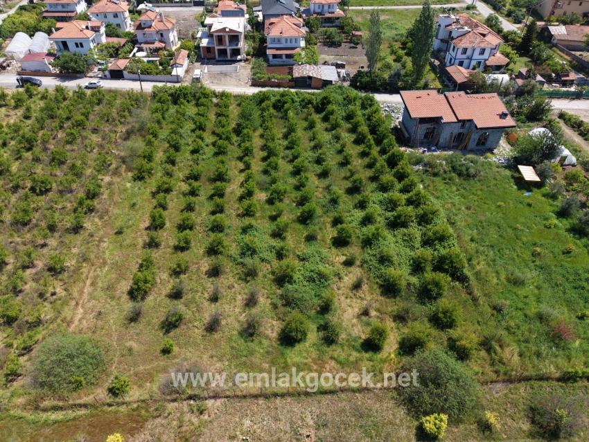 Okçular'da 1050m2 Köy Yerleşik Alanında Satılık Arsa
