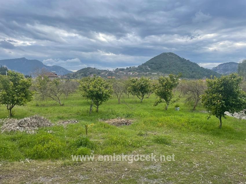 Dalyan'da 11.000m2 Arsa İçerisinde Satılık Butil Otel Ve Bungalov