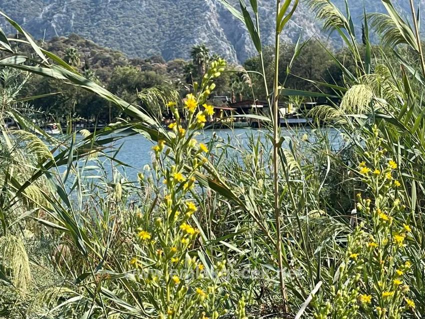 Çandır'da Kanala Sıfır 2765m2 Satılık Müstakil Ev