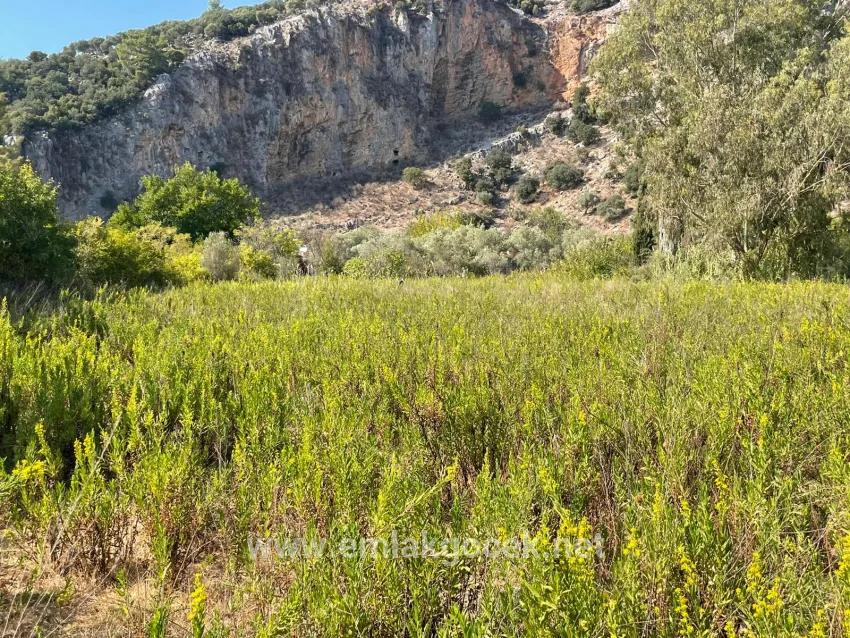 Çandır'da Kanala Sıfır 2765m2 Satılık Müstakil Ev
