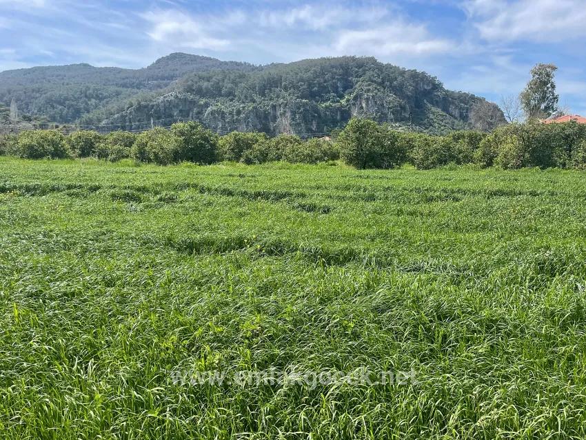 Ortaca Okçular Mah. Satılık Arsa - Konut İmar Durumlu - 736 m²