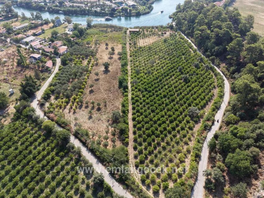 Köyceğiz Çandır Mahallesinde kanala sıfır 20.000m2 satılık tarla