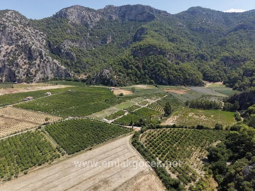 Ortaca Dalyan Mah. Satılık Tarla - Tarla İmar Durumlu - 20.786 m²