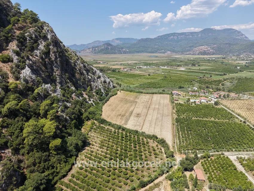 Ortaca Dalyan Mah. Satılık Tarla - Tarla İmar Durumlu - 20.786 m²