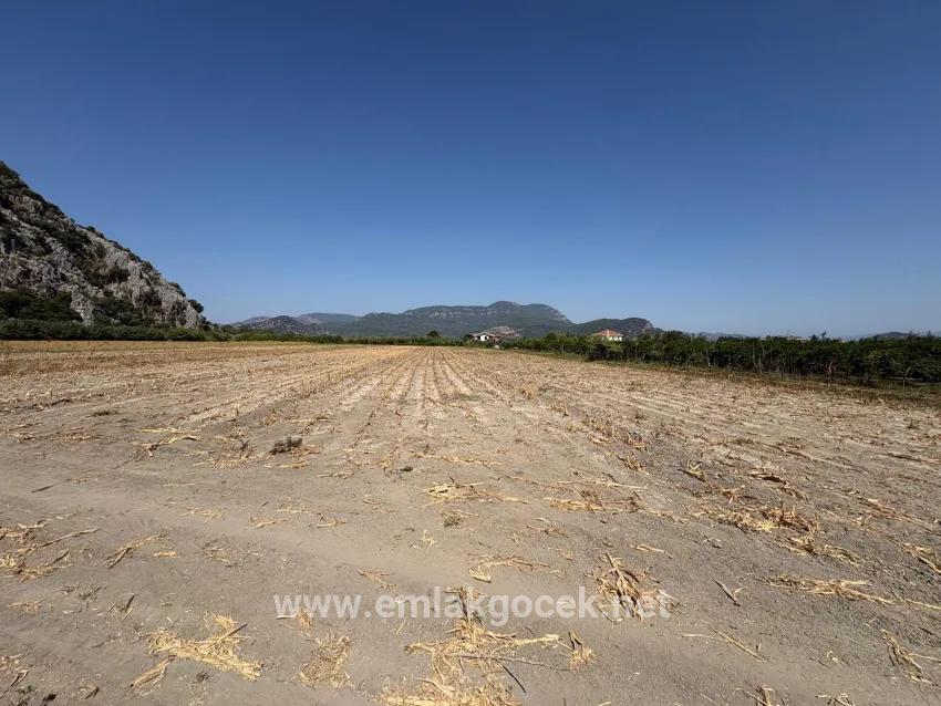 Ortaca Dalyan Mah. Satılık Tarla - Tarla İmar Durumlu - 20.786 m²