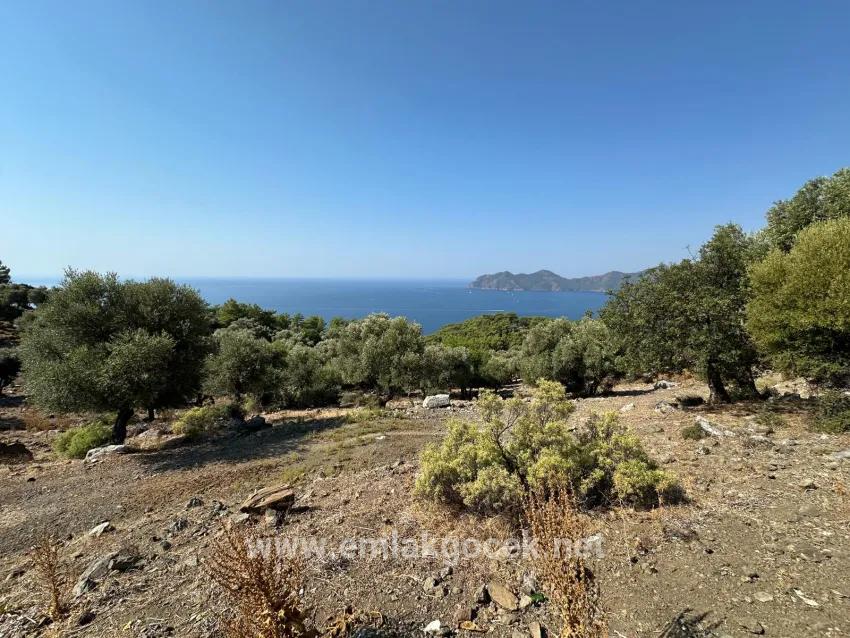 Köyceğiz Çandır Mah. Satılık Tarla - Tarla İmar Durumlu - 21.000 m²