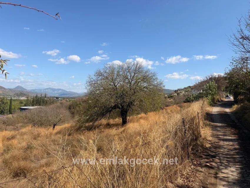 Ortaca Dalyan Mah. Satılık Tarla - Tarla İmar Durumlu - 5.000 m²