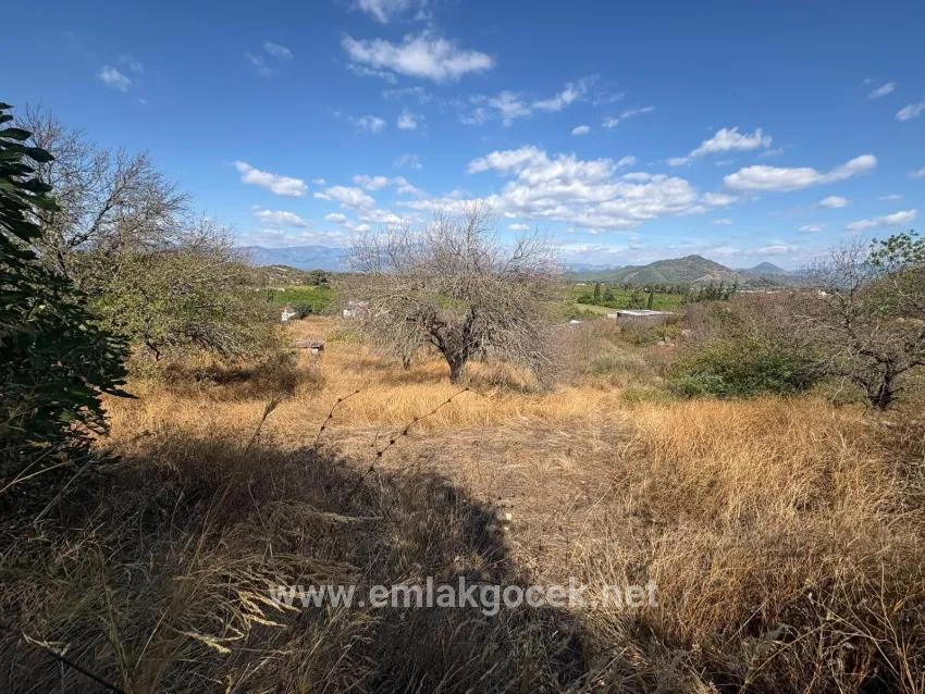 Ortaca Dalyan Mah. Satılık Tarla - Tarla İmar Durumlu - 5.000 m²