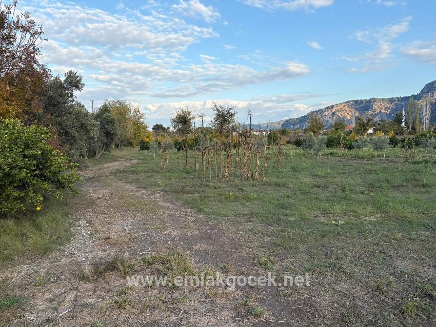 Ortaca Dalyan Mah. Satılık Arsa - Konut İmar Durumlu - 7.450 m²