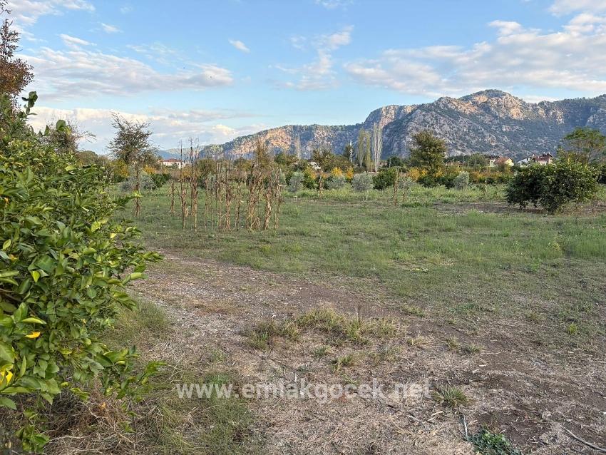 Ortaca Dalyan Mah. Satılık Arsa - Konut İmar Durumlu - 7.450 m²