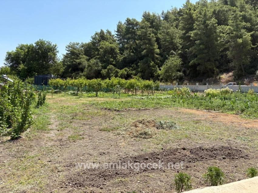 Dalyan Karadağ Mevkiinde 2500m2 Tarla İçerisinde 120m2 Müstakil Ahşap Ev