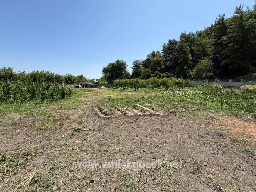 Dalyan Karadağ Mevkiinde 2500m2 Tarla İçerisinde 120m2 Müstakil Ahşap Ev