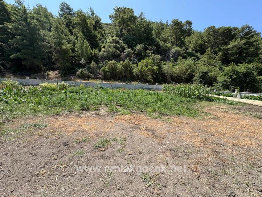 Dalyan Karadağ Mevkiinde 2500m2 Tarla İçerisinde 120m2 Müstakil Ahşap Ev